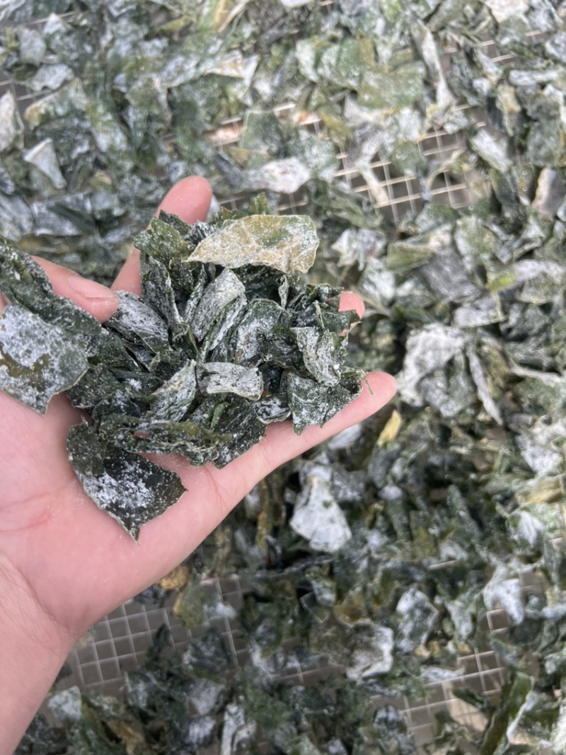 盐渍日晒半干海带条