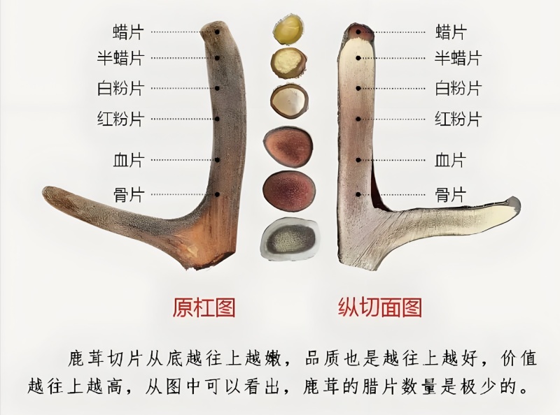 【梅花鹿白粉片】正品保真干鹿茸片红粉片腊片血片白粉片半腊
