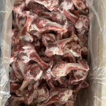 多肉羊棒骨