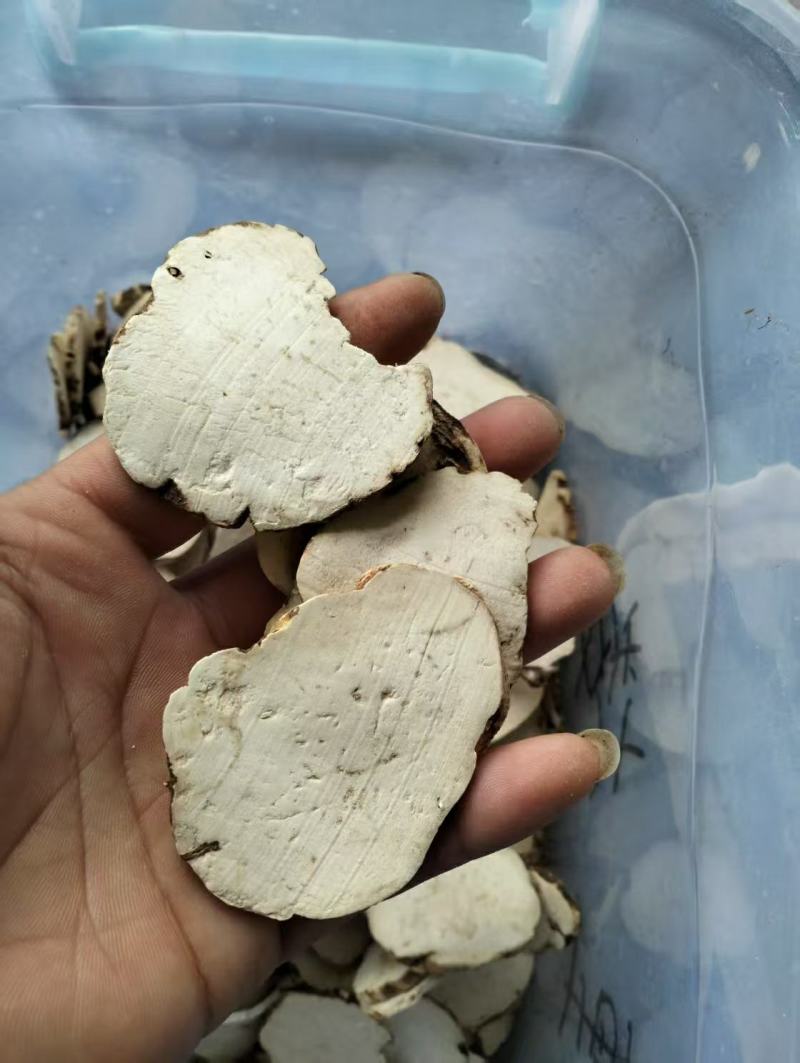 云南重楼中药材七叶一枝花独角莲白蚤休滇重楼可