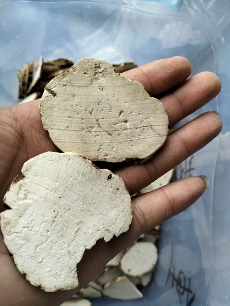云南重楼中药材七叶一枝花独角莲白蚤休滇重楼可