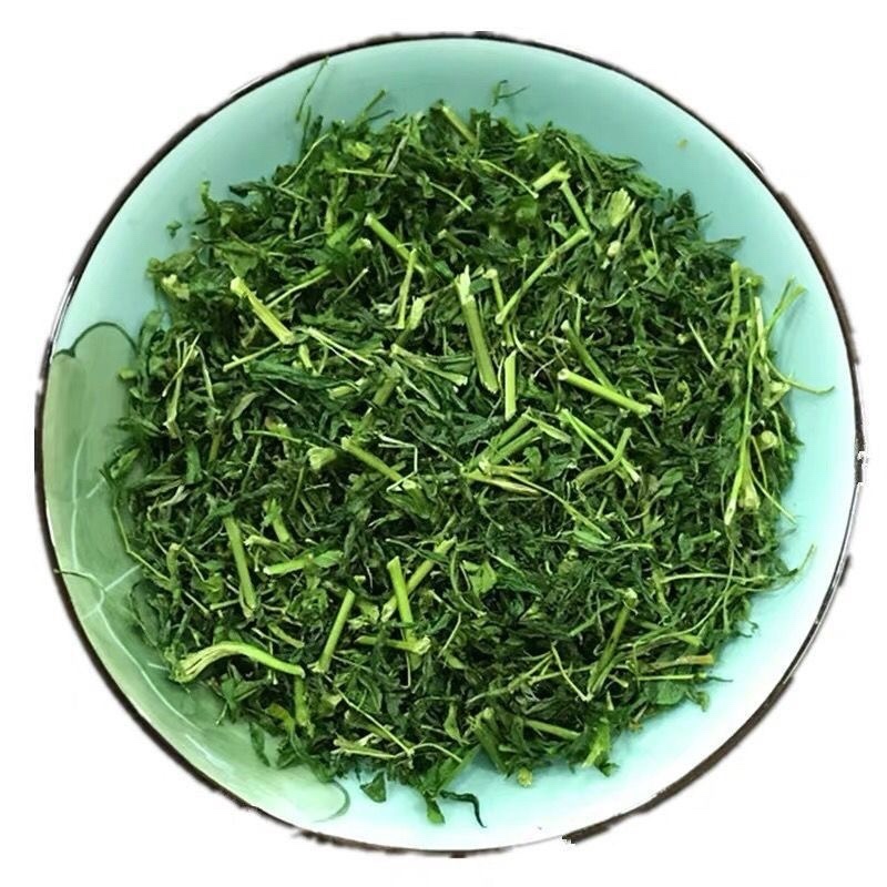 野生鸡骨草叶子批发产地直发价格优惠