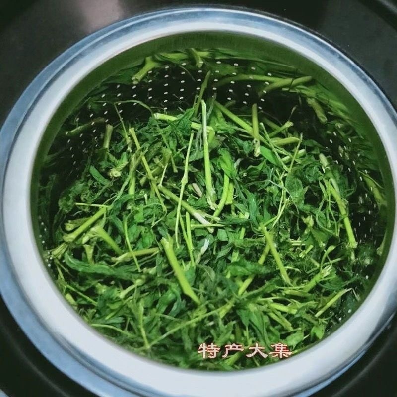 野生鸡骨草叶子批发产地直发价格优惠