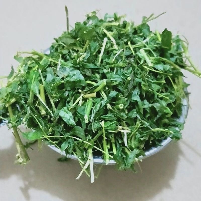野生鸡骨草叶子批发产地直发价格优惠