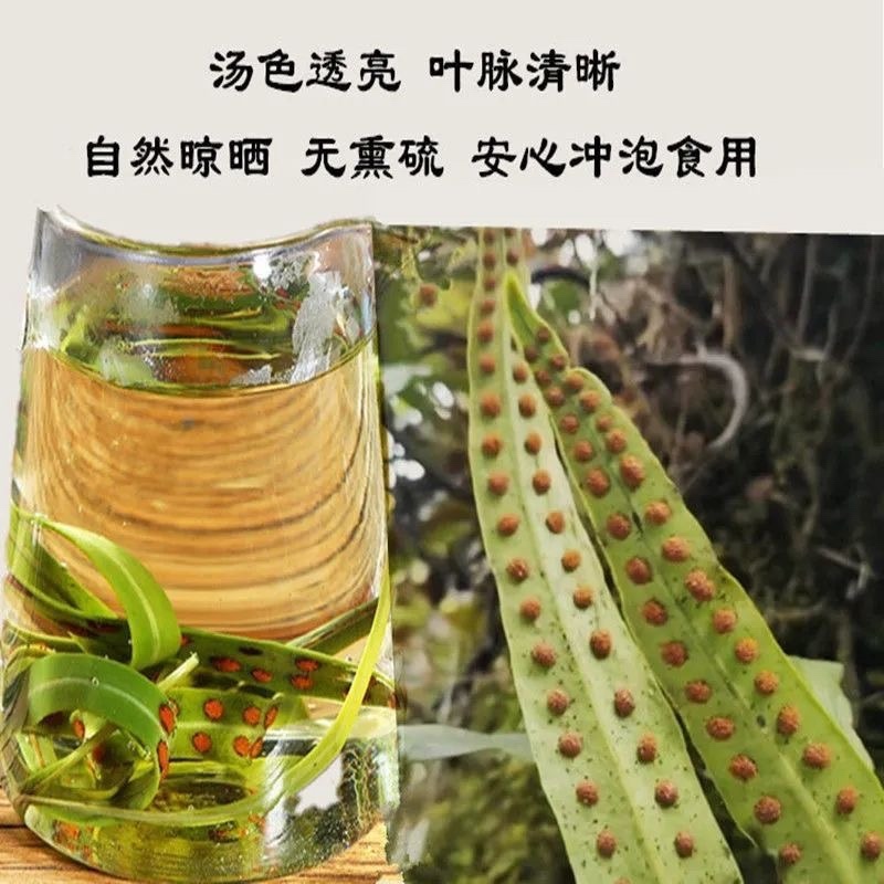 华石草长白山野生肾精茶特级新鲜肾精草茶石茶黄金草石草批发