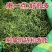 华石草长白山野生肾精茶特级新鲜肾精草茶石茶黄金草石草批发