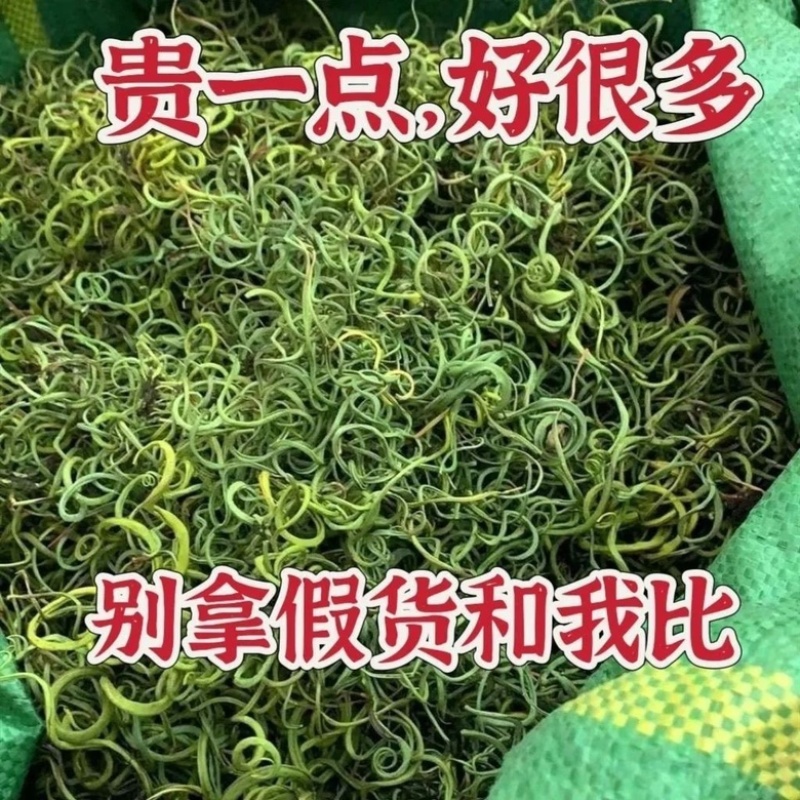 华石草长白山野生肾精茶特级新鲜肾精草茶石茶黄金草石草批发
