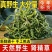华石草长白山野生肾精茶特级新鲜肾精草茶石茶黄金草石草批发