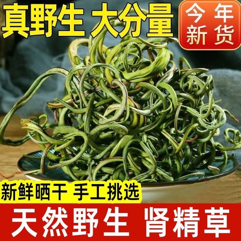 华石草长白山野生肾精茶特级新鲜肾精草茶石茶黄金草石草批发