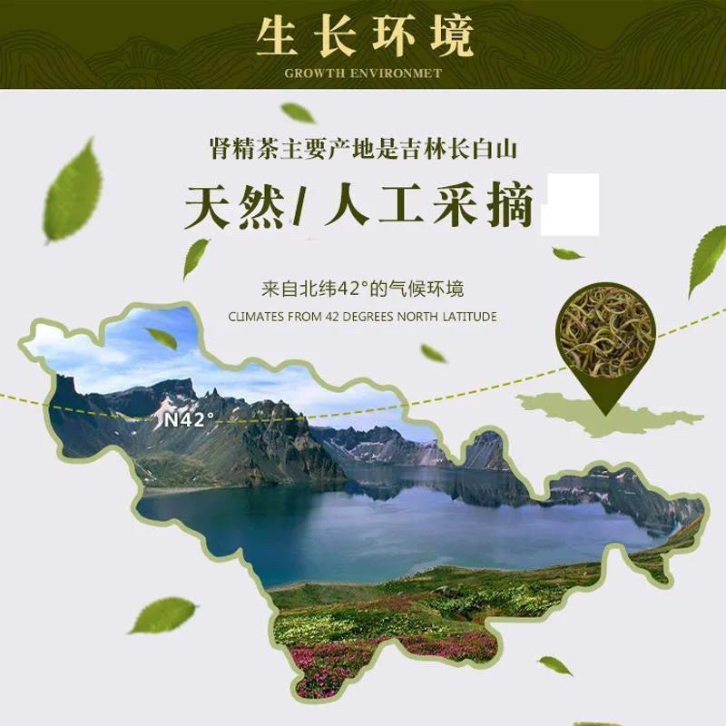 华石草长白山野生肾精茶特级新鲜肾精草茶石茶黄金草石草批发
