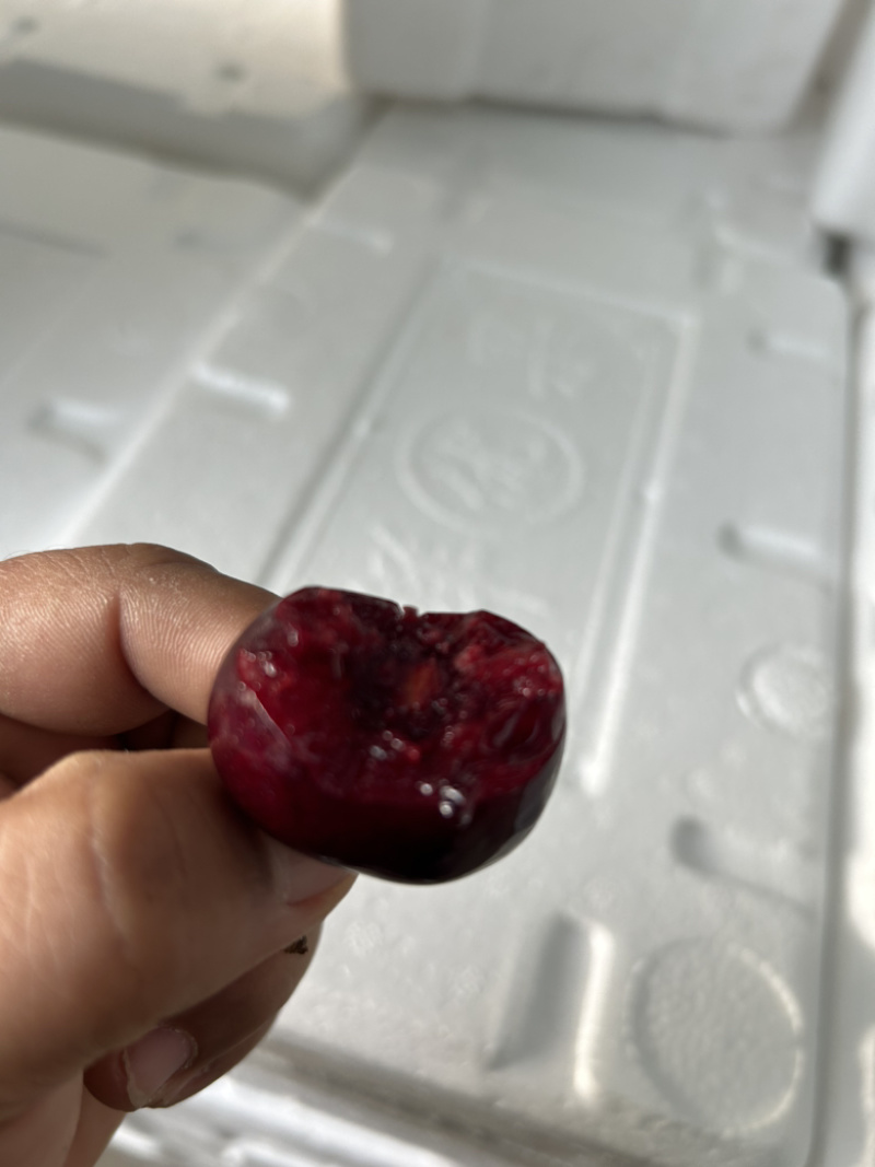 美早大樱桃🍒产地直供，支持各平台电商一件代发空运冷链次达