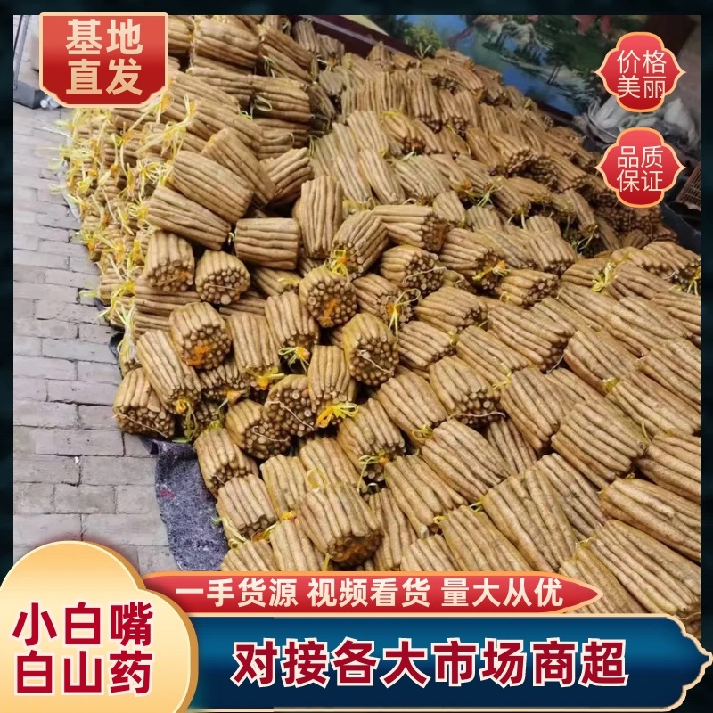 产地供应双棒山药白山药普通网袋精品网袋大量供应