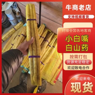小白嘴双棒产地长年供应小白嘴山药散货箱货精品网袋