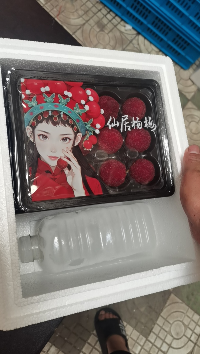 仙居杨梅产地直发支持一件代发供货商超团购电商