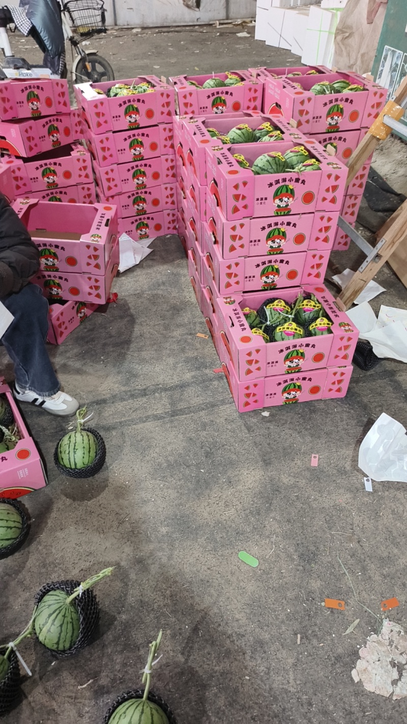 小糖丸西瓜