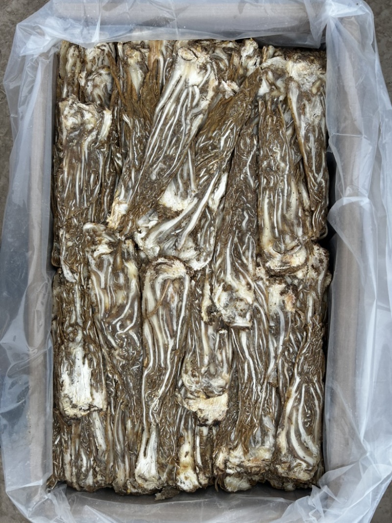 无硫当归佛手片甘肃岷县产地直发