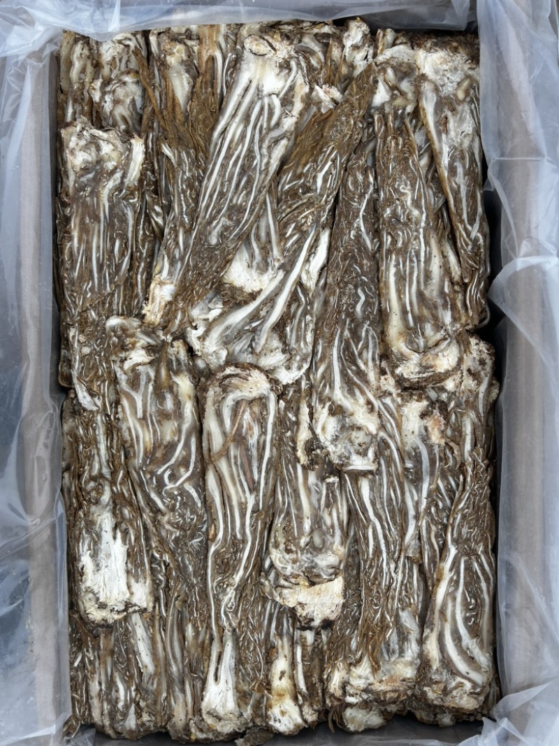 无硫当归佛手片甘肃岷县产地直发