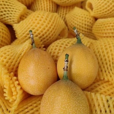 热情果