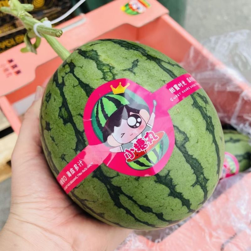 2k西瓜，皮薄，甜度高，个头小，是真正的手掰西瓜。