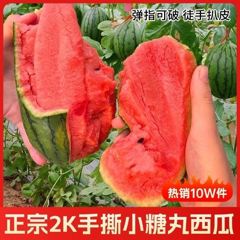 2k西瓜，皮薄，甜度高，个头小，是真正的手掰西瓜。