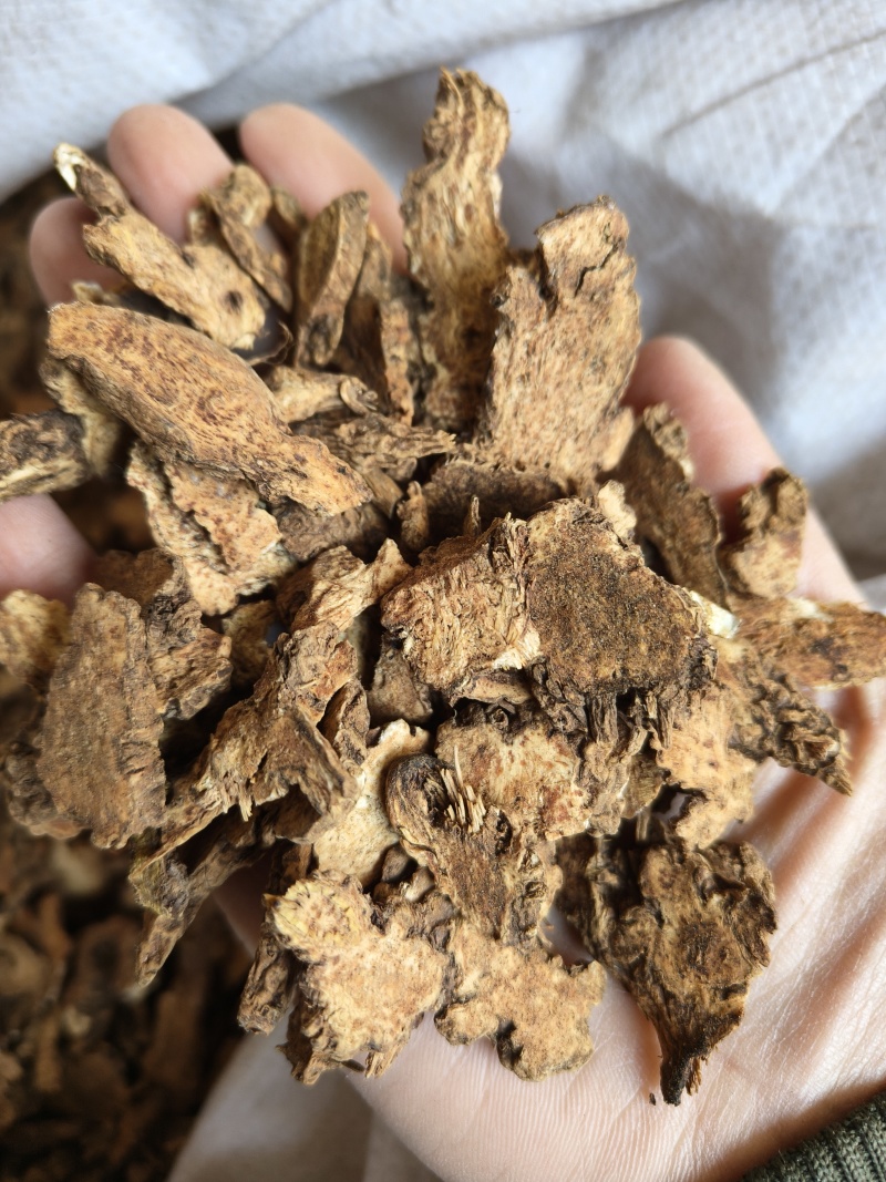 苍术炒苍术大货到多种规格