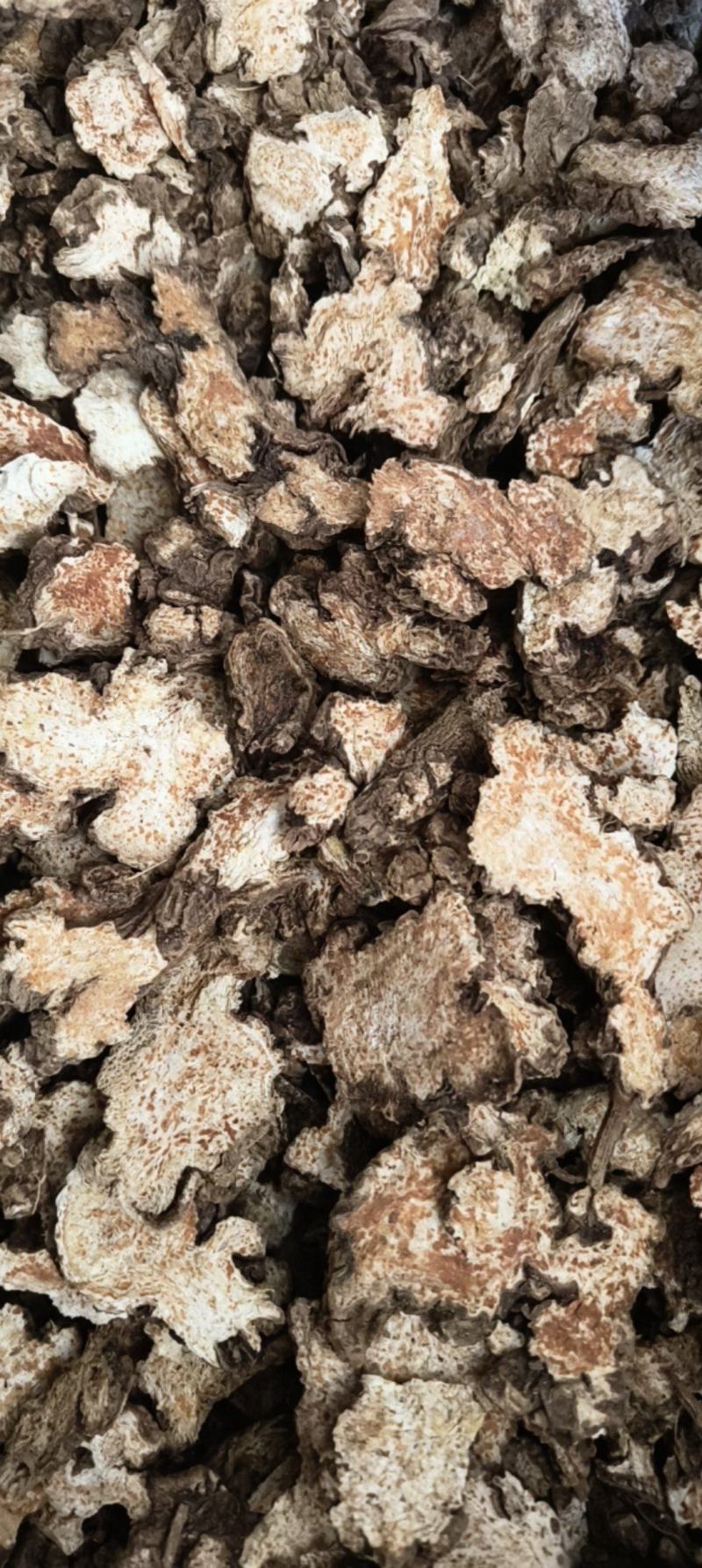 苍术炒苍术大货到多种规格