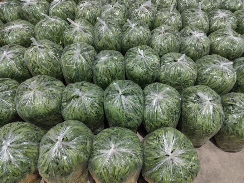 面条菜品质保证服务周到产地直发价格美丽