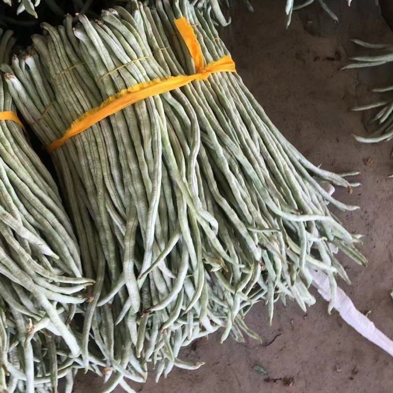 精品豆角白豆角货源充足量大从优质量保证欢迎咨询