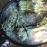精品豆角白豆角货源充足量大从优质量保证欢迎咨询