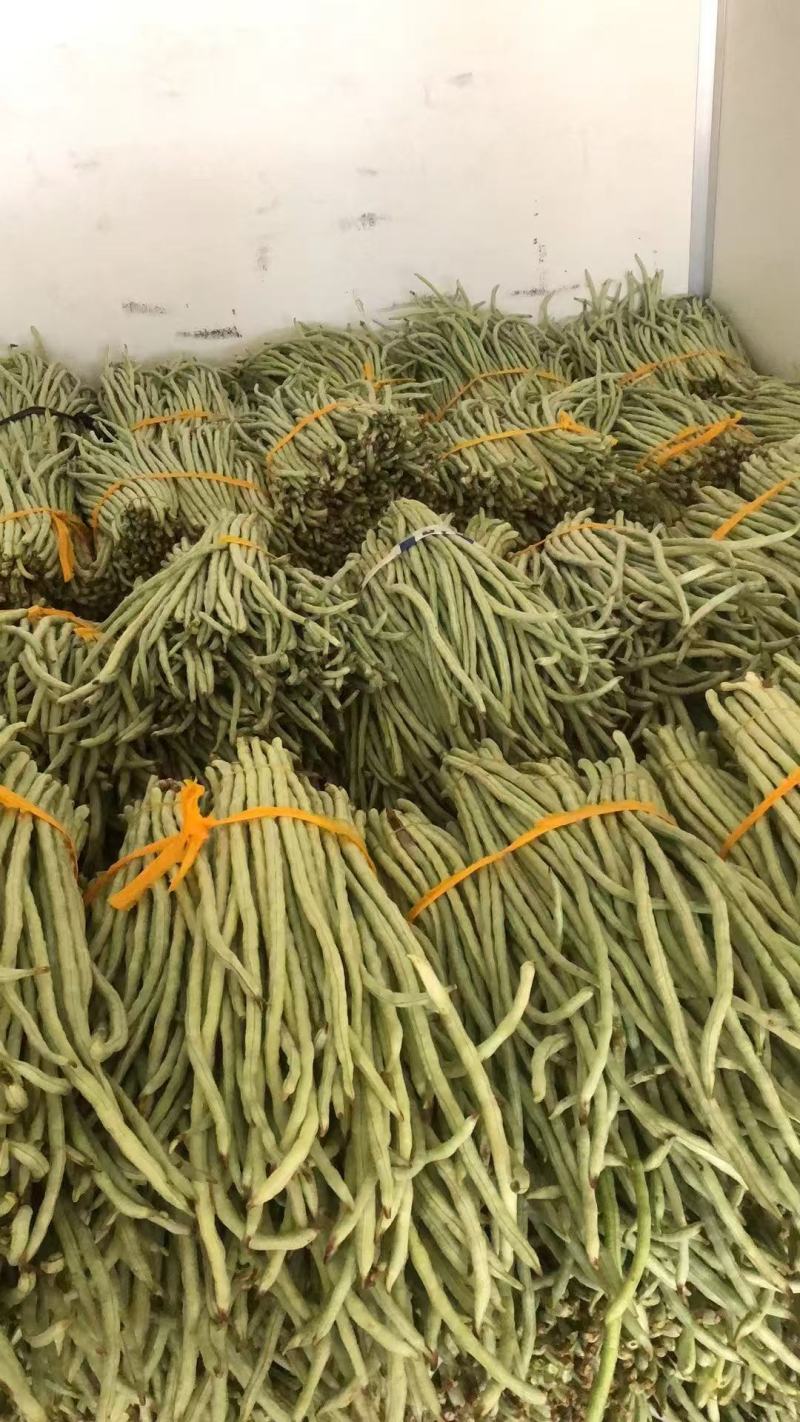 精品豆角白豆角货源充足量大从优质量保证欢迎咨询