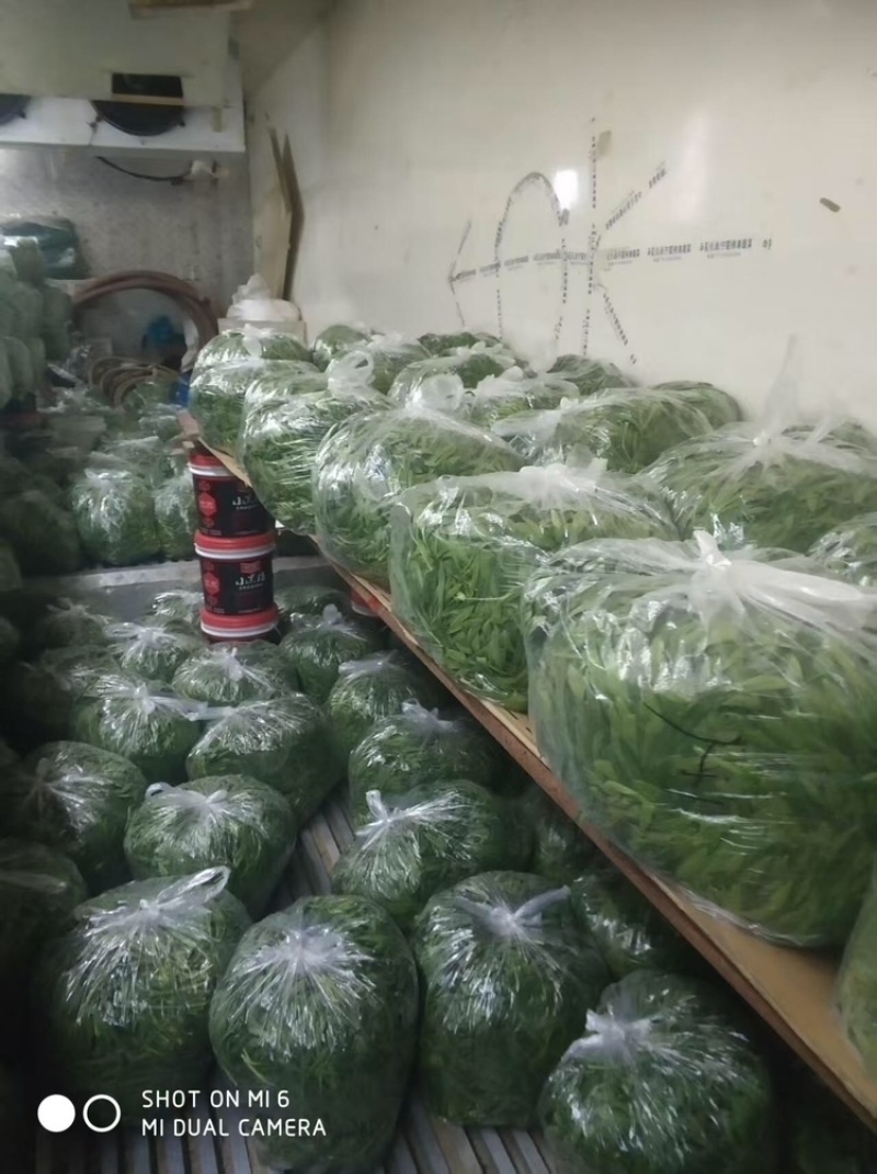 面条菜品质保证服务周到产地直发价格美丽