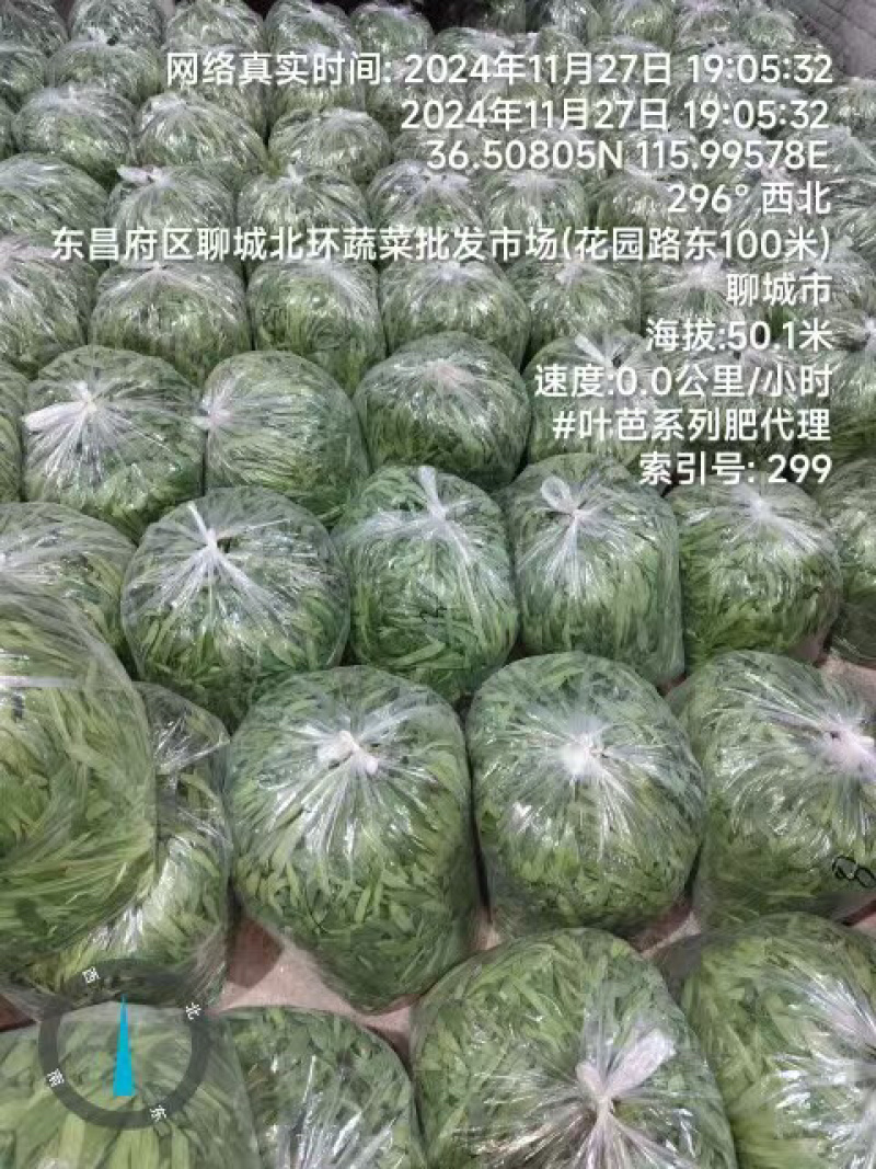 面条菜品质保证服务周到产地直发价格美丽