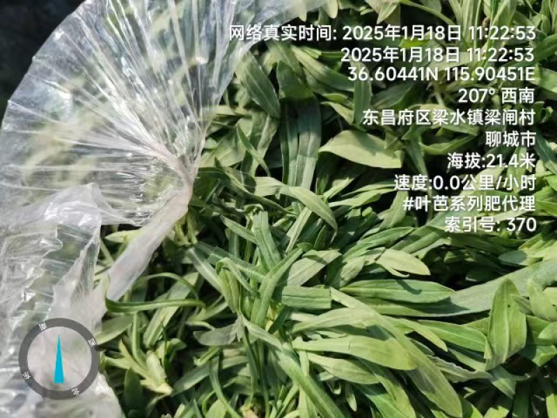 面条菜品质保证服务周到产地直发价格美丽