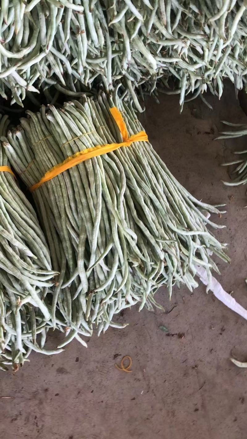 精品豆角白豆角货源充足量大从优质量保证欢迎咨询