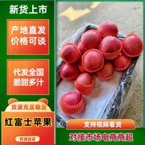 “产地直供”优选高山红富士苹果，产地大量现货全国供应发货