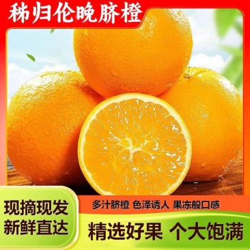 湖北宜昌秭归伦晚脐橙大量现货，口感纯甜爆汁，花果同树！