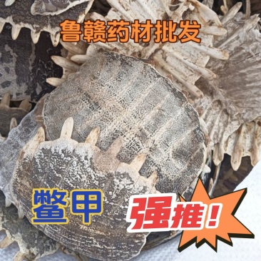 鳖甲鳖甲壳生鳖甲实物实拍批发各种中药材量大优惠