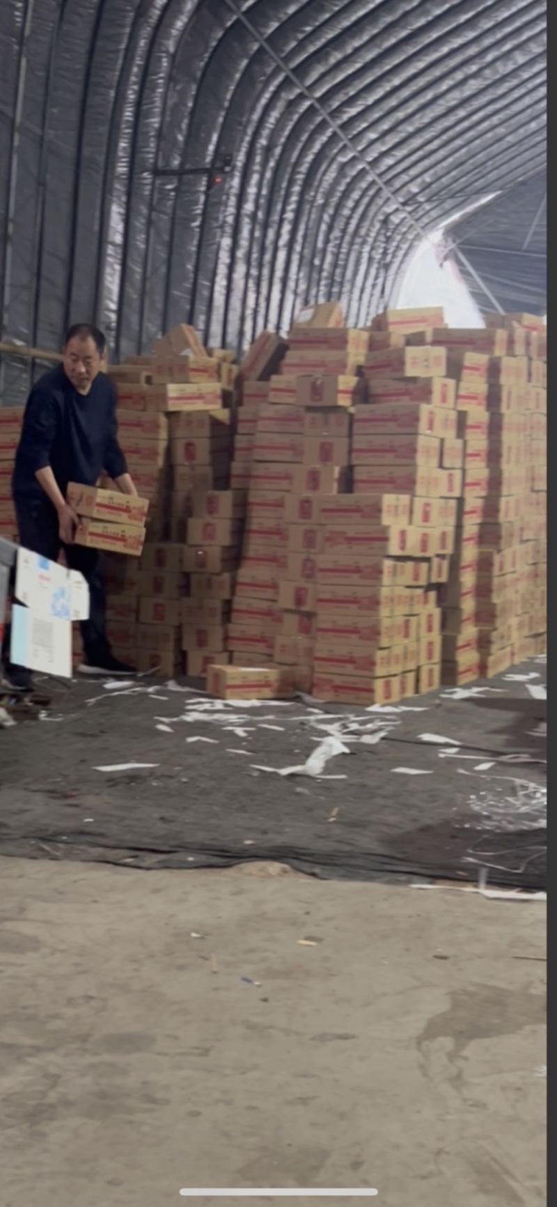 美早大樱桃【一件代发】产地直供电商一件代发日发万单