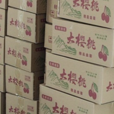 美早大樱桃【一件代发】产地直供电商一件代发日发万单