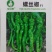 螺丝椒种子-旱熙鲜食一代杂交种皮薄质脆辣度适中