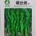 螺丝椒种子-旱熙鲜食一代杂交种皮薄质脆辣度适中