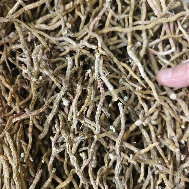 铁皮石斛干条打粉料量大优惠欢迎来电咨询