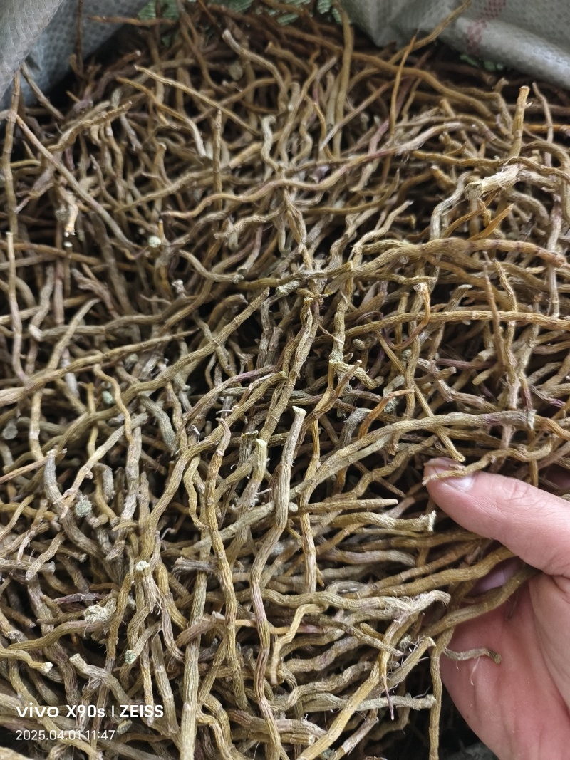铁皮石斛干条打粉料量大优惠欢迎来电咨询