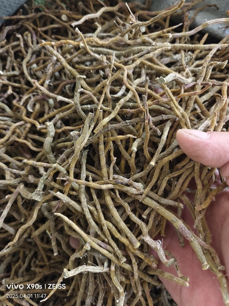 铁皮石斛干条打粉料量大优惠欢迎来电咨询