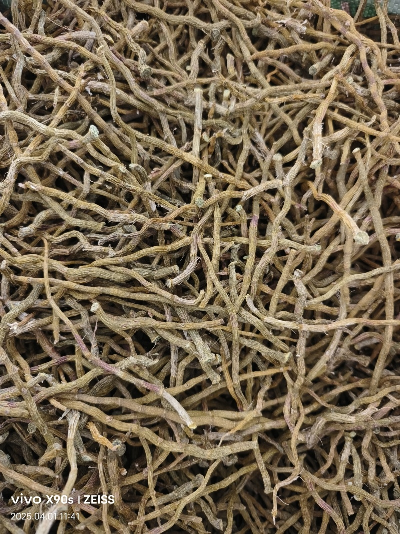 铁皮石斛干条打粉料量大优惠欢迎来电咨询