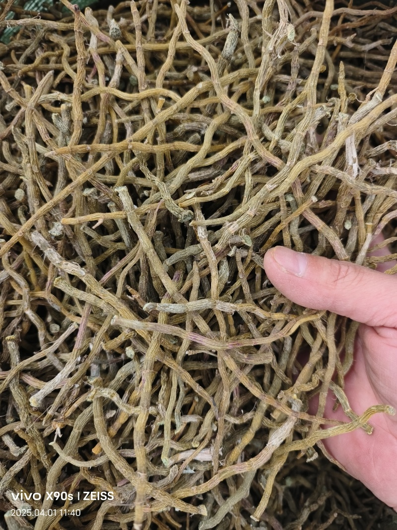 铁皮石斛干条打粉料量大优惠欢迎来电咨询