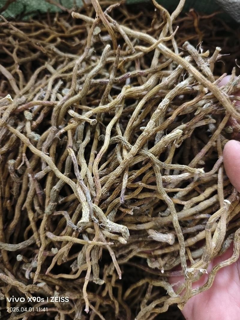 铁皮石斛干条打粉料量大优惠欢迎来电咨询