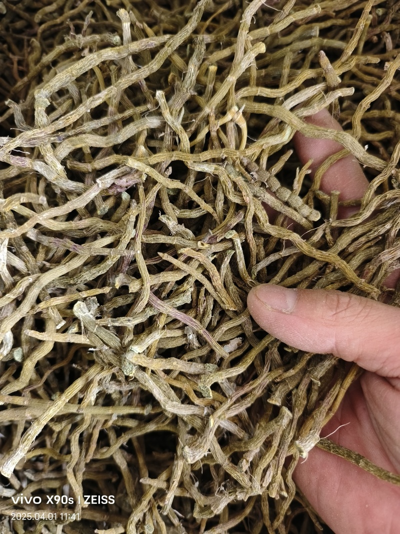 铁皮石斛干条打粉料量大优惠欢迎来电咨询