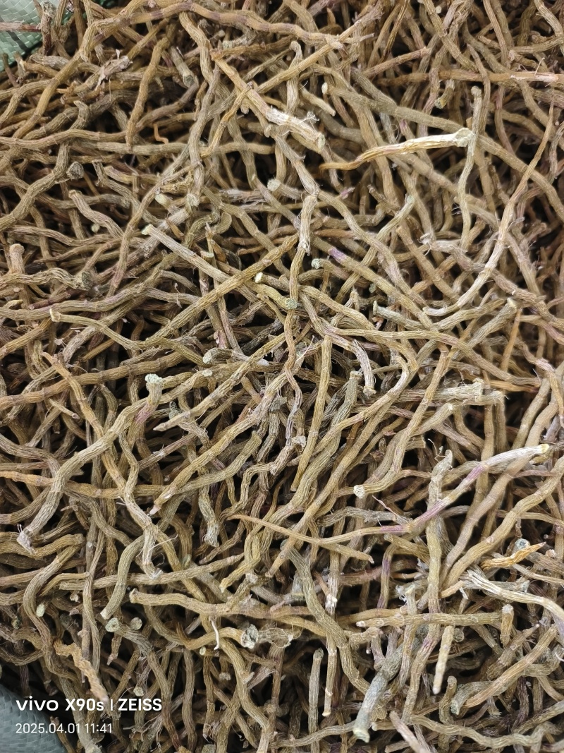 铁皮石斛干条打粉料量大优惠欢迎来电咨询