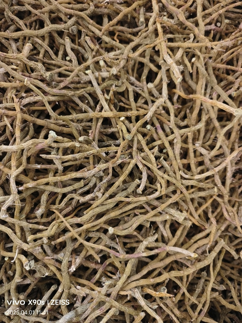 铁皮石斛干条打粉料量大优惠欢迎来电咨询